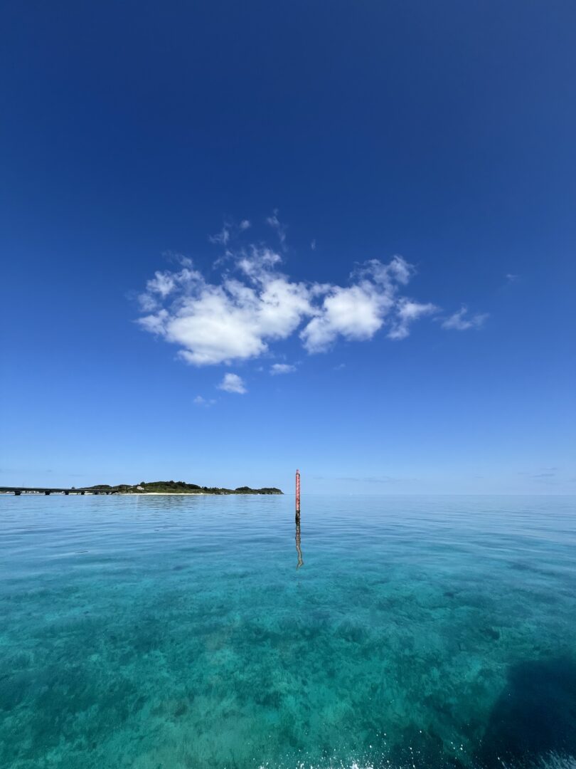 シュノーケル🐠ツアー