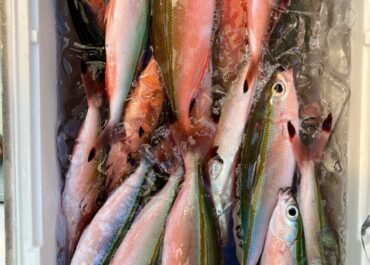 シュノーケル＆体験グルクン釣りツアー🎣