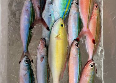 シュノーケル＆体験グルクン釣りツアー🎣