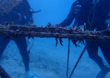 終わったぜぇ〜。