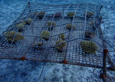 本年！一発目！