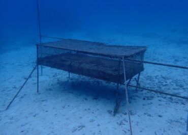 知らない事ばかり！