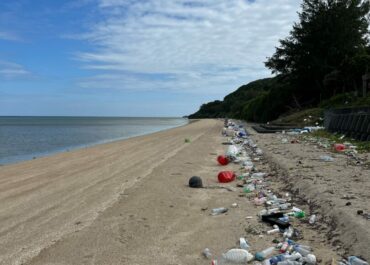 仲良くなりたい!