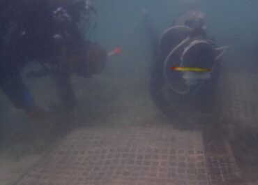 スタートしました!