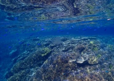 シュノーケル🤿ツアー