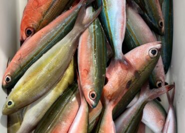 シュノーケル＆体験グルクン釣りツアー🎣