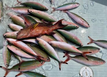 シュノーケル＆体験グルクン釣り🎣ツアー