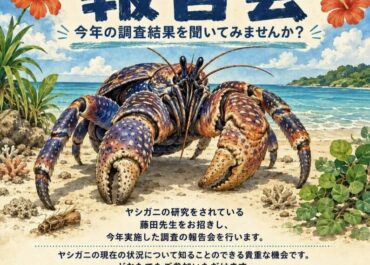 ヤシガニのお話