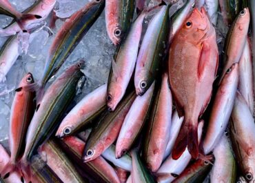 シュノーケル＆体験グルクン釣り🎣ツアー